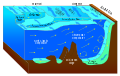 Antarctic bottom water
