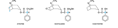 مقارنة بنية الاتروبين مع بنية سكوبولامين ومع هوماتروبين
