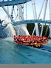 Griffon splashing down into a pool at Busch Gardens Williamsburg.