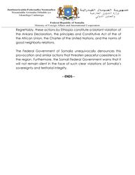 بيان الخارجية الصومالية يدين الاعتداء الإثيوبي على دولو 2.jpg