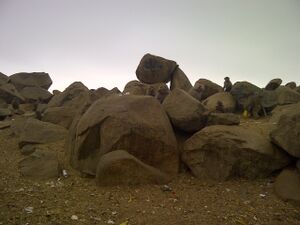 Al Hada Wildlife.jpg