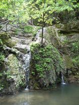 السبع عيون، وتُعرف للسياح بإسم "غابة رودس"