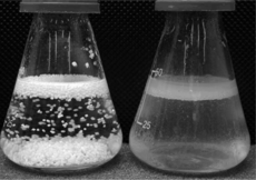 Comparison of emulsification using LLE and SIRs