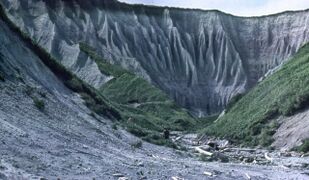 إيتوروپ، 1981