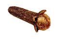 Dried clove bud