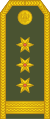 Pukovnik (Montenegrin Ground Army)[14]