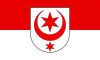 علم Halle (Saale)