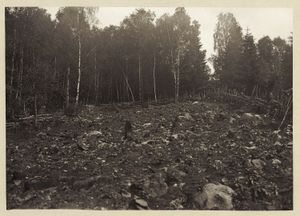 Photo of deforested land