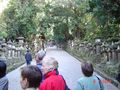 Path leading up to the shrine, braced by rows of stone lanterns