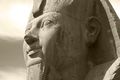 Closeup of the sphinx outside the Temple of Ptah.