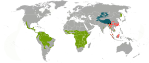 Pantherinae range.png