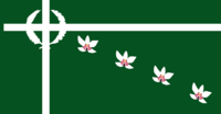 Reconstructed Flag of Southern Leyte.png