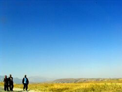 طريق وحقل في بادكند.