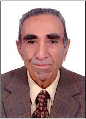 محمد فوزي الرملي.jpg