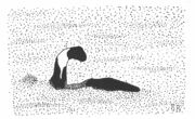Artistic representation of Sandra Mansi's 1977 photograph of "Champ" lake monster.jpg