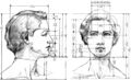 Avard Fairbanks drawing of proportions of the female head and neck, 1936