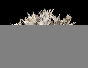 Aragonite Salsigne France.jpg