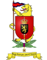 Coat of arms of the Belgian Royal Military Academy (shield seen in the middle of the red field with a crown and a sword right thru the middle)