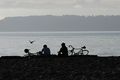 Cyclists in Golden Gardens (2010) سياتل