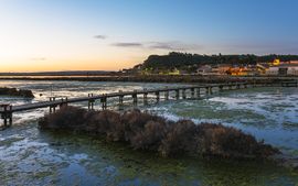 Peyriac-de-Mer, february 2018 (06).jpg