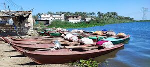 بوغاز بحيرة إدكو