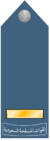Royal Saudi Air Force -Master Sergeant shoulder insignia.png