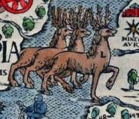 عبور مياه متجمدة