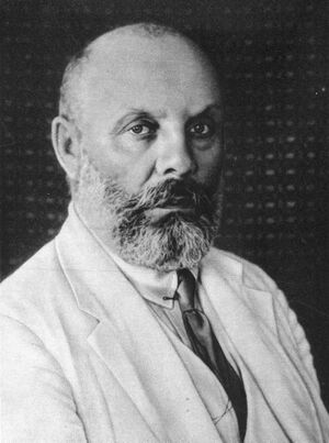 Menachem Ussishkin. 1924-1934 (id.14832988).jpg