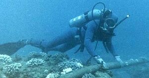 مسار المرشدين للكابلات.jpg