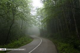 Caspian Hyrcanian Mixed Forests in Northern Iran 04.jpg