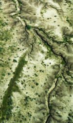 A dried-up waterbed in Moroto, Uganda. Drylands Initiative interventions are expected to help manage the region’s waterways and help communities make more efficient use of the available water resources.